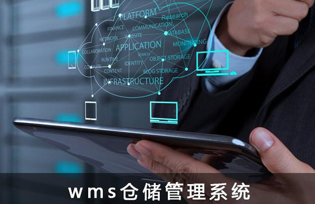 Venus-LES(WMS)系统